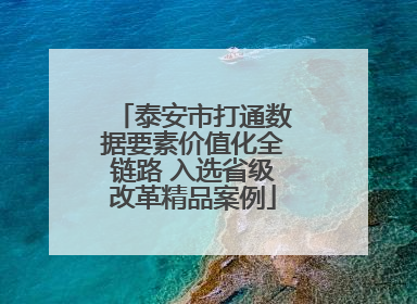 泰安市打通数据要素价值化全链路 入选省级改革精品案例