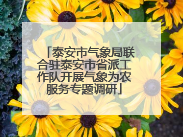 泰安市气象局联合驻泰安市省派工作队开展气象为农服务专题调研