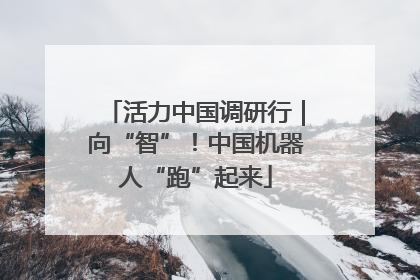 活力中国调研行｜向“智”！中国机器人“跑”起来