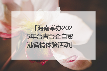 海南举办2025年台青台企自贸港省情体验活动