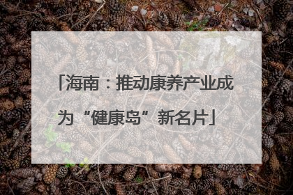 海南：推动康养产业成为“健康岛”新名片