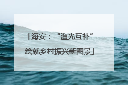 海安：“渔光互补” 绘就乡村振兴新图景