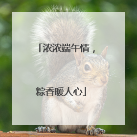浓浓端午情，粽香暖人心