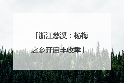 浙江慈溪：杨梅之乡开启丰收季