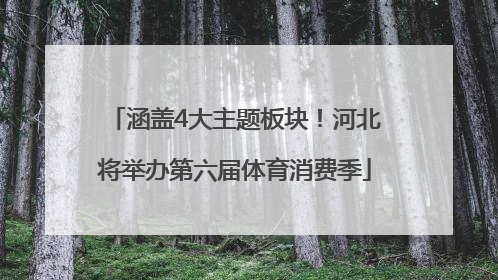 涵盖4大主题板块！河北将举办第六届体育消费季