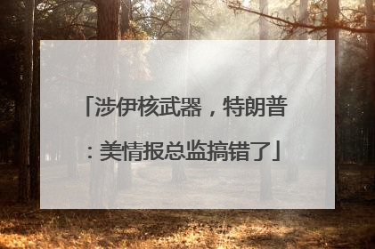 涉伊核武器，特朗普：美情报总监搞错了