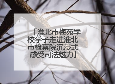 淮北市梅苑学校学子走进淮北市检察院沉浸式感受司法魅力
