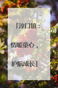淳口镇：情暖童心，护航成长