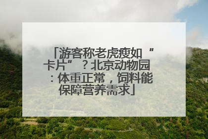 游客称老虎瘦如“卡片”？北京动物园：体重正常，饲料能保障营养需求