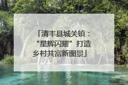 清丰县城关镇：“星辉闪耀”打造乡村共富新图景