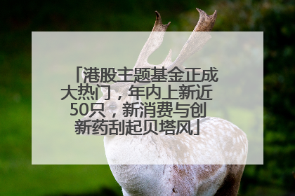 港股主题基金正成大热门，年内上新近50只，新消费与创新药刮起贝塔风