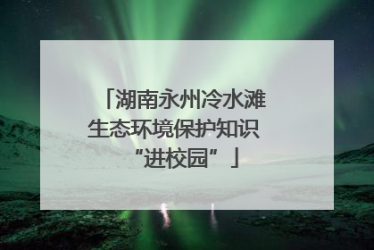 湖南永州冷水滩生态环境保护知识“进校园”