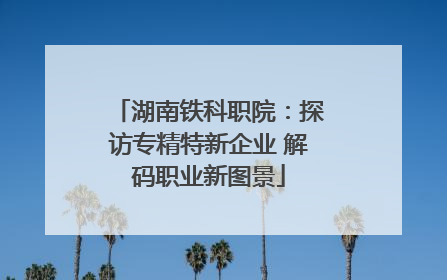 湖南铁科职院：探访专精特新企业 解码职业新图景