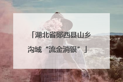 湖北省郧西县山乡沟域“流金淌银”
