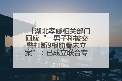 湖北孝感相关部门回应“一男子称被交警打断9根肋骨未立案”：已成立联合专班开展工作
