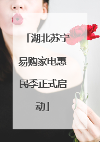 湖北苏宁易购家电惠民季正式启动