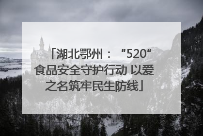 湖北鄂州：“520”食品安全守护行动 以爱之名筑牢民生防线