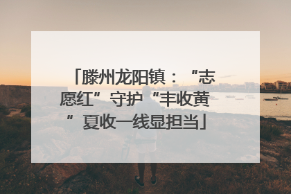 滕州龙阳镇：“志愿红”守护“丰收黄”夏收一线显担当