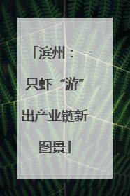 滨州：一只虾“游”出产业链新图景