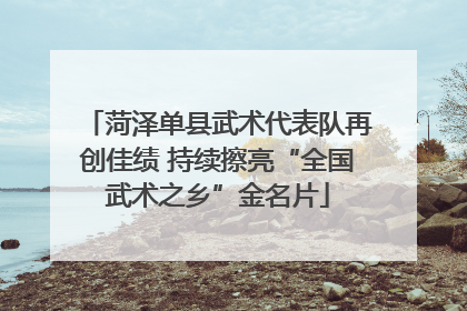 菏泽单县武术代表队再创佳绩 持续擦亮“全国武术之乡”金名片
