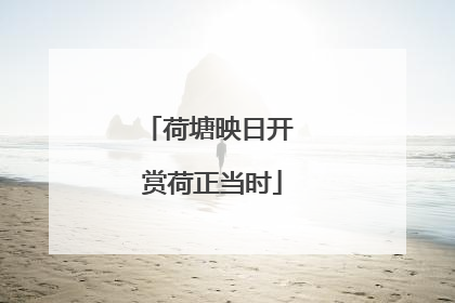 荷塘映日开 赏荷正当时
