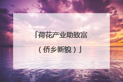 荷花产业助致富（侨乡新貌）