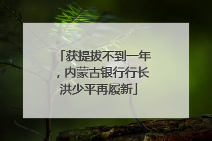获提拔不到一年，内蒙古银行行长洪少平再履新
