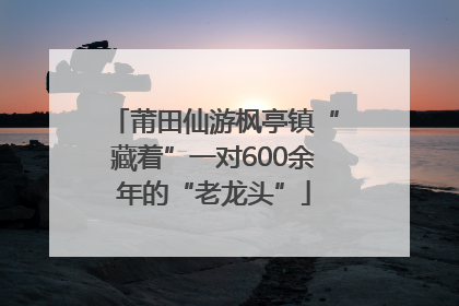 莆田仙游枫亭镇“藏着”一对600余年的“老龙头”