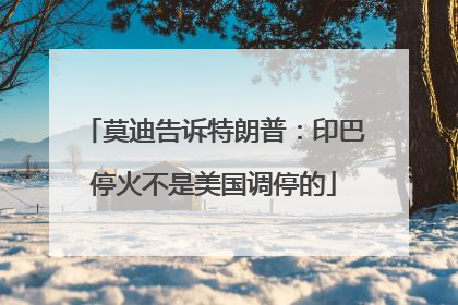 莫迪告诉特朗普：印巴停火不是美国调停的