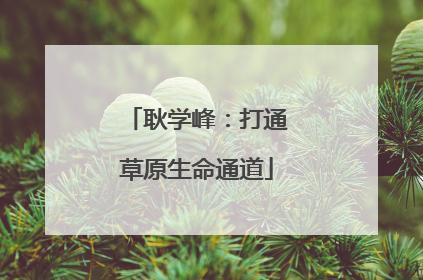 耿学峰：打通草原生命通道