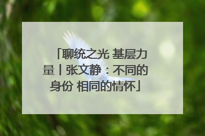 聊统之光 基层力量丨张文静：不同的身份 相同的情怀