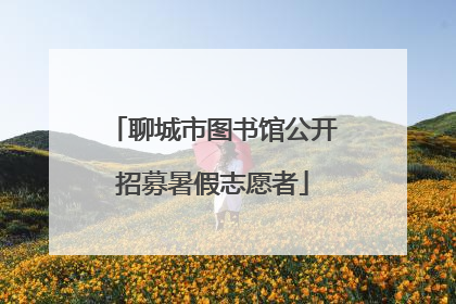 聊城市图书馆公开招募暑假志愿者