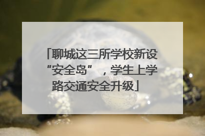 聊城这三所学校新设“安全岛”，学生上学路交通安全升级
