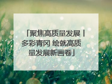 聚焦高质量发展丨多彩青冈 绘就高质量发展新画卷