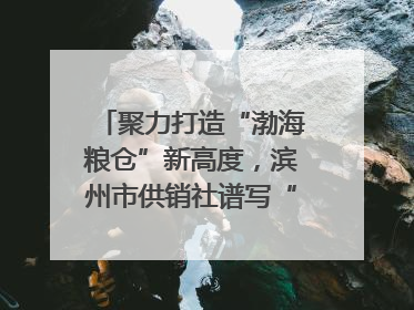 聚力打造“渤海粮仓”新高度，滨州市供销社谱写“三夏”丰收乐章