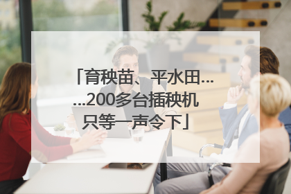 育秧苗、平水田……200多台插秧机只等一声令下