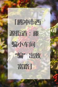 腾冲市西源街道：藤编小车间 “编”出致富路