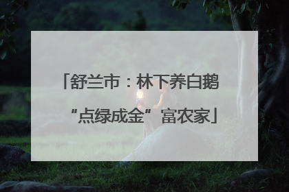 舒兰市：林下养白鹅 “点绿成金”富农家