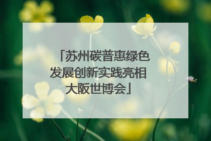 苏州碳普惠绿色发展创新实践亮相大阪世博会
