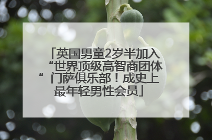 英国男童2岁半加入“世界顶级高智商团体”门萨俱乐部！成史上最年轻男性会员