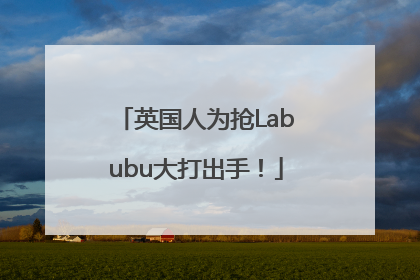 英国人为抢Labubu大打出手！