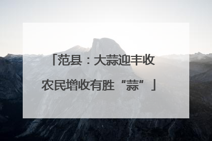 范县：大蒜迎丰收 农民增收有胜“蒜”