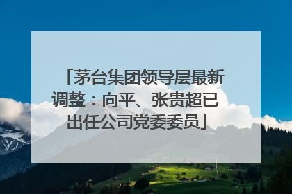 茅台集团领导层最新调整：向平、张贵超已出任公司党委委员