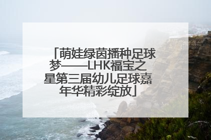 萌娃绿茵播种足球梦——LHK福宝之星第三届幼儿足球嘉年华精彩绽放
