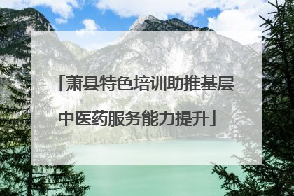 萧县特色培训助推基层中医药服务能力提升