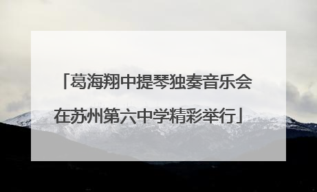 葛海翔中提琴独奏音乐会在苏州第六中学精彩举行