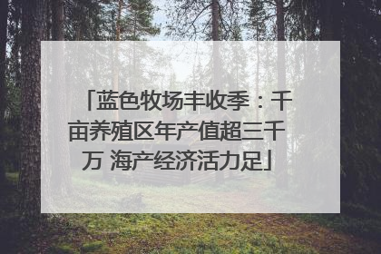 蓝色牧场丰收季：千亩养殖区年产值超三千万 海产经济活力足