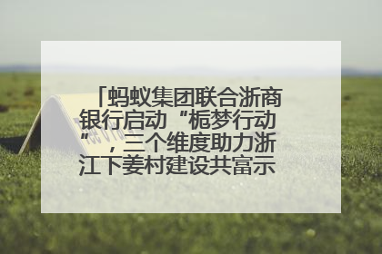 蚂蚁集团联合浙商银行启动“栀梦行动”，三个维度助力浙江下姜村建设共富示范区示范点