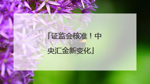 证监会核准！中央汇金新变化