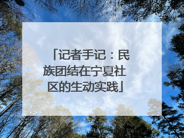 记者手记：民族团结在宁夏社区的生动实践